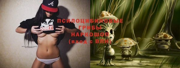 молекула духа Белоозёрский