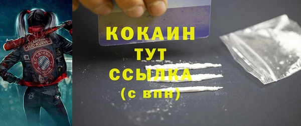 молекула духа Белоозёрский