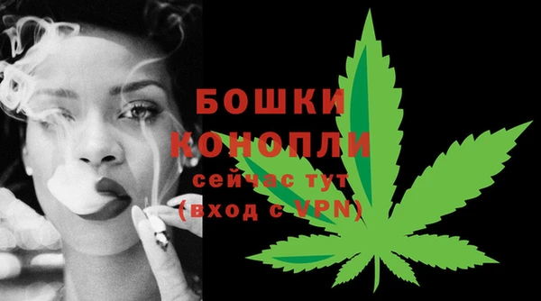 винт Белокуриха