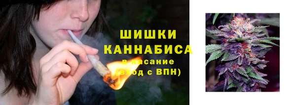 винт Белокуриха