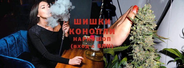 молекула духа Белоозёрский
