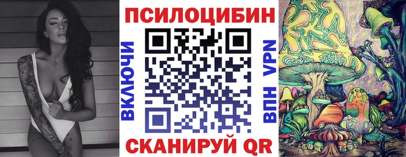 Галлюциногенные грибы мицелий Минеральные Воды