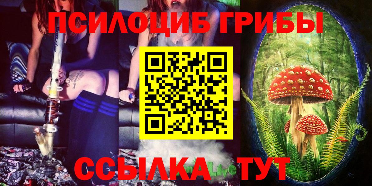 Псилоцибиновые грибы Psilocybine cubensis Минеральные Воды