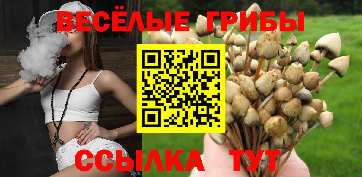 Галлюциногенные грибы ЛСД  Вход с VPN  Минеральные Воды 